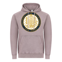 Vintage Zinc university of california, san diego Vintage Hoodie - artisFamous