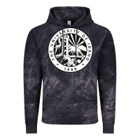 University Of Idaho Vintage Hoodie | Teevron
