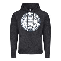 Vintage Black university of illinois Vintage Hoodie - artisFamous