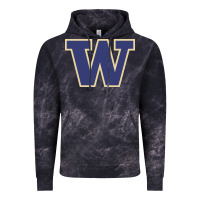 Cloud Black washington Vintage Hoodie - artisFamous