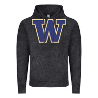 Vintage Black washington Vintage Hoodie - artisFamous