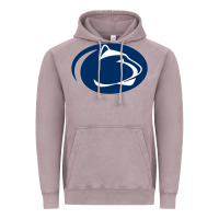 Vintage Zinc nittany lions Vintage Hoodie - artisFamous