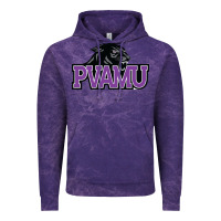 Cloud Purple prairie view a&m panthers and lady panthers Vintage Hoodie - artisFamous