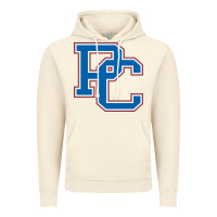 Vintage Artic presbyterian Vintage Hoodie - artisFamous