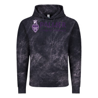 Cloud Black Palmer College of Chiropractic Vintage Hoodie - artisFamous
