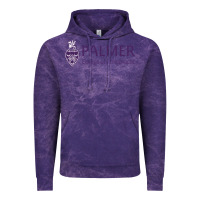 Cloud Purple Palmer College of Chiropractic Vintage Hoodie - artisFamous
