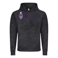 Vintage Black Palmer College of Chiropractic Vintage Hoodie - artisFamous