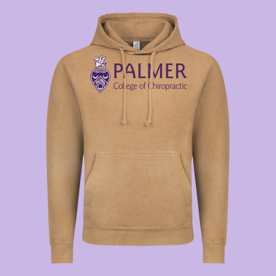Palmer College Of Chiropractic Vintage Hoodie Designed By Artisfamous