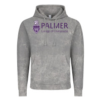 Cloud Rock Palmer College of Chiropractic Vintage Hoodie - artisFamous