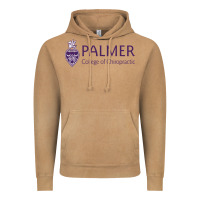 Palmer College Of Chiropractic Vintage Hoodie | Teevron