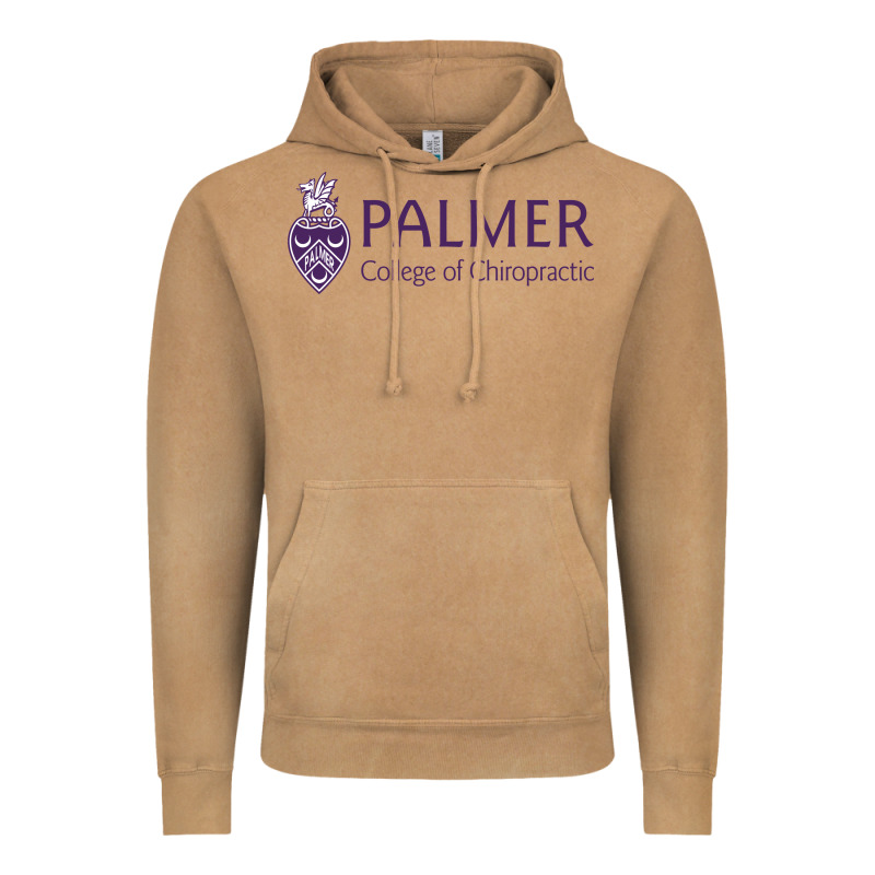 Palmer College Of Chiropractic Vintage Hoodie by artisFamous | Teevron