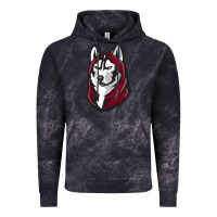 Cloud Black bloomsburg huskies Vintage Hoodie - artisFamous