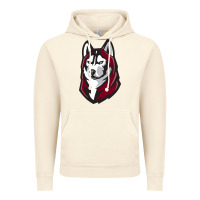 Vintage Artic bloomsburg huskies Vintage Hoodie - artisFamous
