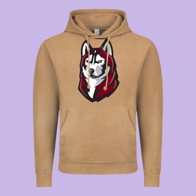 Bloomsburg Huskies Vintage Hoodie Designed By Artisfamous