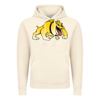 Vintage Artic bowie state bulldogs Vintage Hoodie - artisFamous