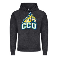 Vintage Black colorado christian Vintage Hoodie - artisFamous
