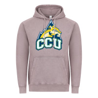 Vintage Zinc colorado christian Vintage Hoodie - artisFamous