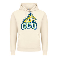 Vintage Artic colorado christian Vintage Hoodie - artisFamous