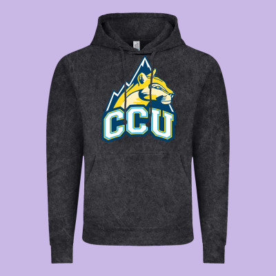 Colorado Christian Vintage Hoodie Designed By Artisfamous