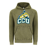 Vintage Olive colorado christian Vintage Hoodie - artisFamous