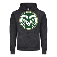 Vintage Black colorado state rams Vintage Hoodie - artisFamous