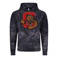 Cloud Black cornell big red Vintage Hoodie - artisFamous