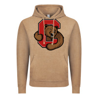 Vintage Coffee cornell big red Vintage Hoodie - artisFamous