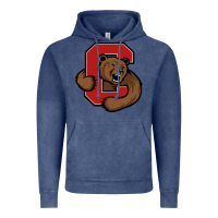 Vintage Denim cornell big red Vintage Hoodie - artisFamous