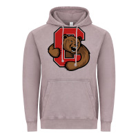 Vintage Zinc cornell big red Vintage Hoodie - artisFamous