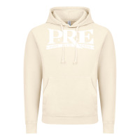 Vintage Artic PAPER ROUTE EMPIRE Vintage Hoodie - artisFamous