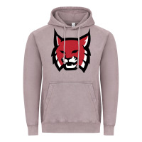 Vintage Zinc Rhodes College Athletic Vintage Hoodie - artisFamous