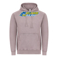 Vintage Zinc delaware fightin' blue hens Vintage Hoodie - artisFamous