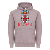 Vintage Zinc brown university Vintage Hoodie - artisFamous