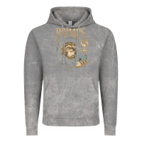 Cloud Rock primus new Vintage Hoodie - artisFamous