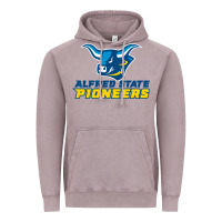 Vintage Zinc alfred state Vintage Hoodie - artisFamous