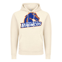 Vintage Artic Boise Design Vintage Hoodie - artisFamous