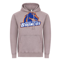 Vintage Zinc Boise Design Vintage Hoodie - artisFamous