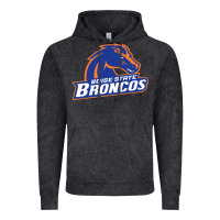 Vintage Black Boise Design Vintage Hoodie - artisFamous