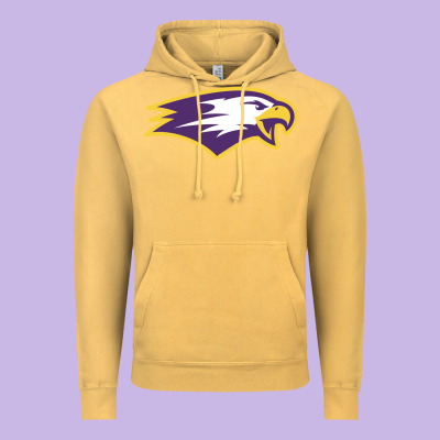 Elmira College Vintage Hoodie Designed By Artisfamous