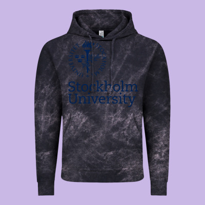 Stockholm University Vintage Hoodie Designed By Artisfamous