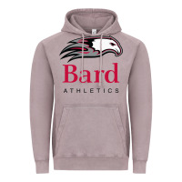 Vintage Zinc bard college athletics Vintage Hoodie - artisFamous