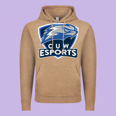 Concordia University Wisconsin Vintage Hoodie Designed By Artisfamous