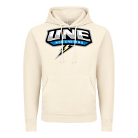 Vintage Artic new england university Vintage Hoodie - artisFamous