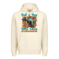 Sandshell just a boy who loves baby spinosaurus Premium Hoodie - Artiststas