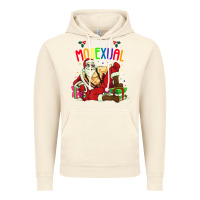 Vintage Artic mens ho ho ho mosexual Vintage Hoodie - DesigneFamous