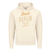 Vintage Artic Mens Best Papaw Ever Funny Dad / Grandpa Vintage Hoodie - DesigneFamous