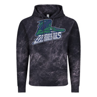 Cloud Black florida everblades Vintage Hoodie - DesigneFamous