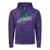 Cloud Purple florida everblades Vintage Hoodie - DesigneFamous