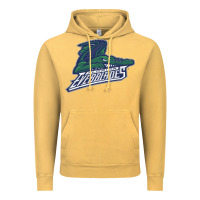 Florida Everblades Vintage Hoodie | Teevron