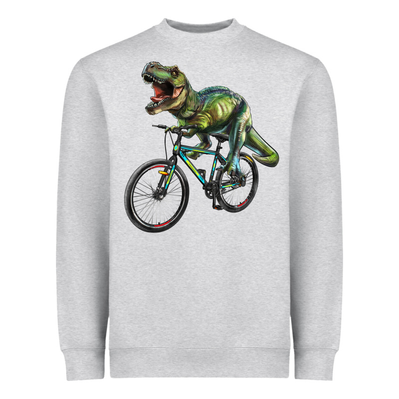 T Rex Dinosaur Riding Dinosaur Heavyweight Sweatshirt by RanaPortraitStore | Teevron